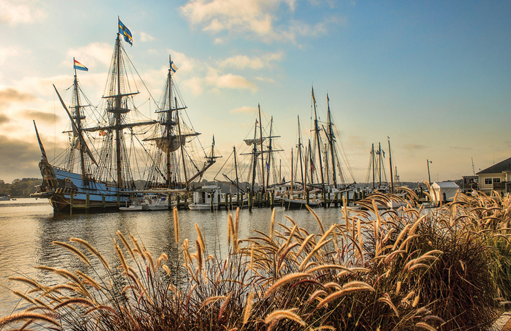 eastern shore premiere