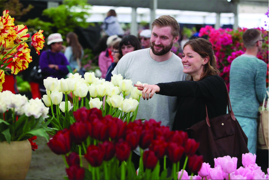 Events Blog—May 28 County Lines Online