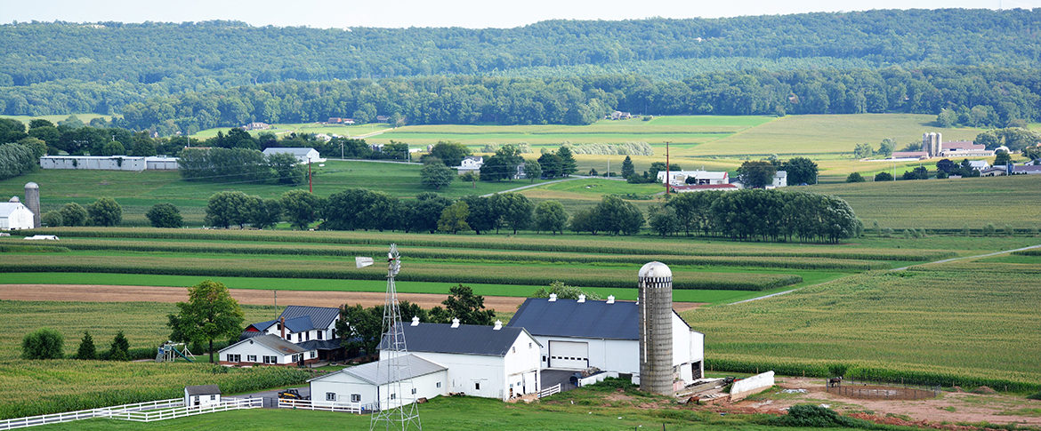 Home - County Lines Online