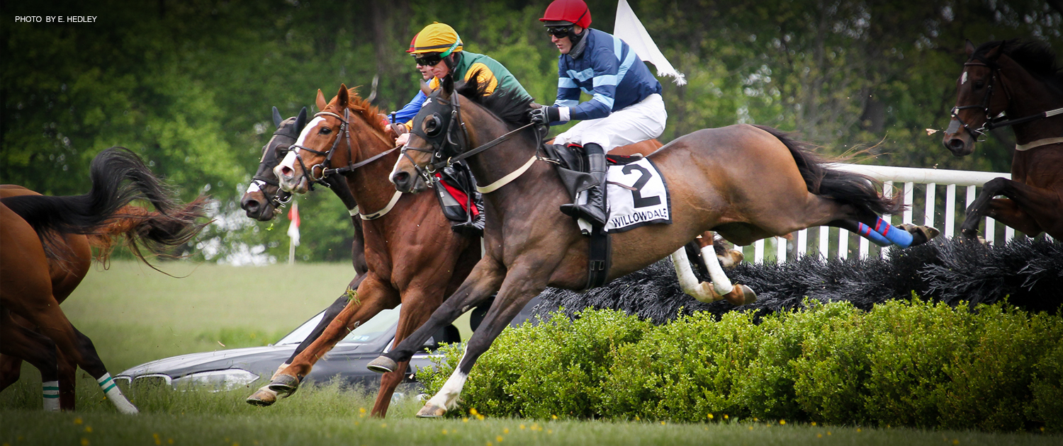 It’s Steeplechase Season and We’re Off to the Races County Lines Online