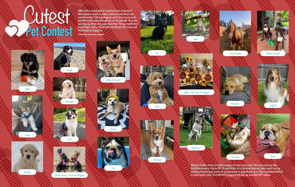 Cutest Pet Contest 2022 - County Lines Online
