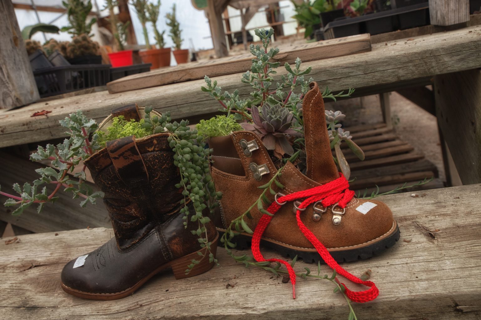 Pete's Produce, the Final Chapter County Lines Online