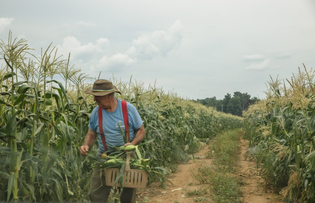 Pete's Produce, the Final Chapter County Lines Online