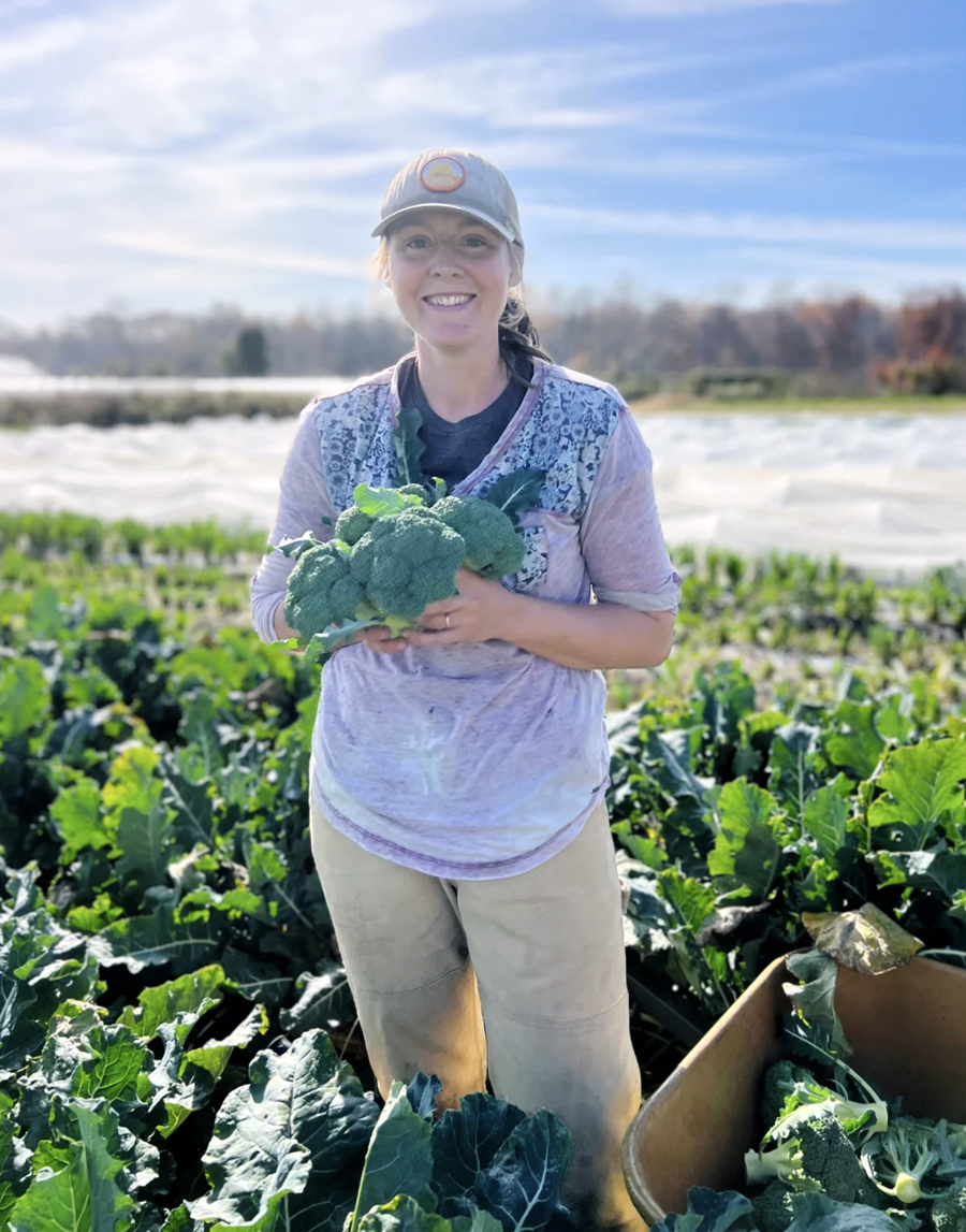 Brandywine Table Field to Feast with Toad Stop Farm County Lines Online