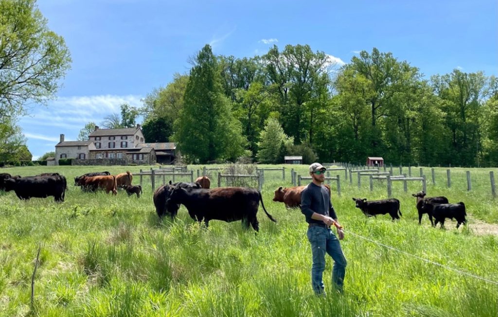 Brandywine Table Get Grilling with Wyebrook Farm County Lines Online